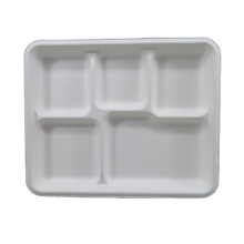 Biodegradable Disposable Sugarcane Bagasse Pulp Molding Compartment Lunch Tray Lunch Plates